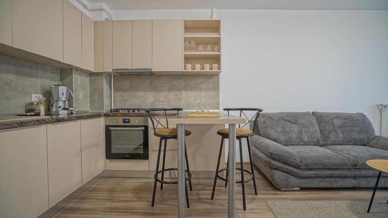 Grandis Studio Coresi Брашов Екстериор снимка